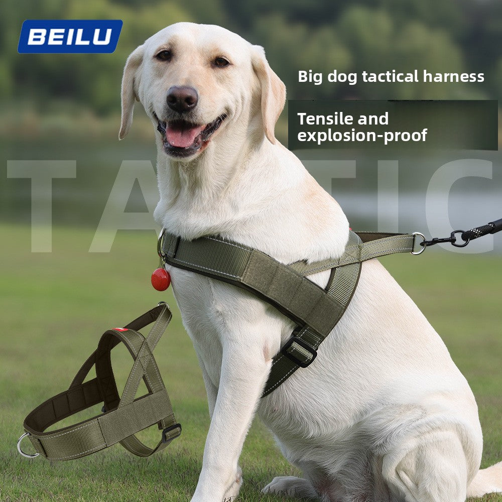 Dog chest and back outdoor large dog leash